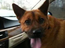 Profile picture for user alicia.wilgus