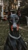 Profile picture for user JohnReesnkv
