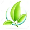 Profile picture for user lethethanh2208