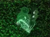 Profile picture for user bsolis